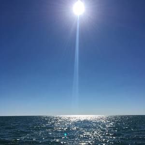 Meet your Posher, Joann